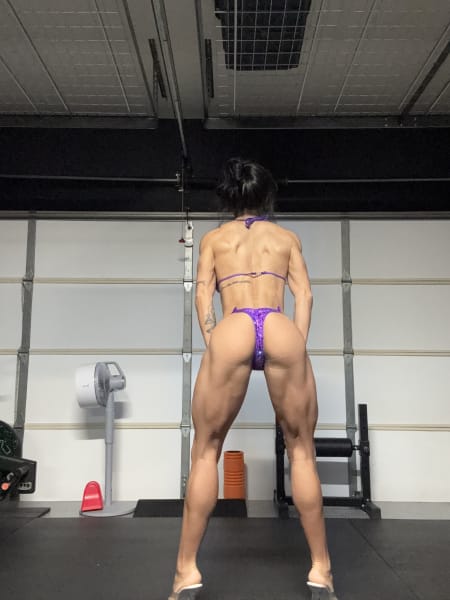 program highlights from creator