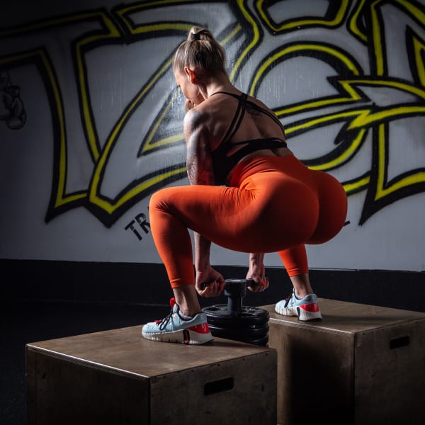 program highlights from creator