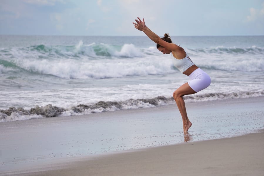 program highlights from creator