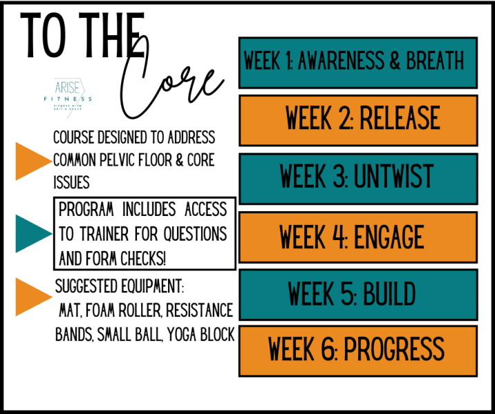 program highlights from creator