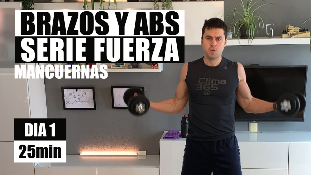 program highlights from creator