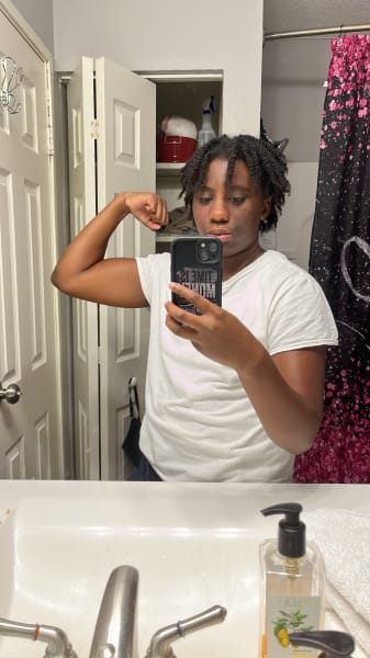 program highlights from creator