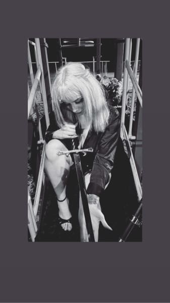 cookbook highlights from creator