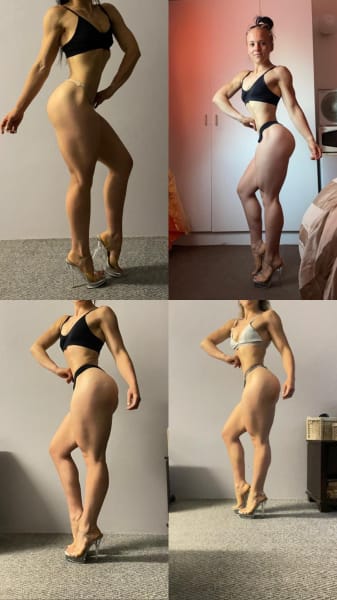 program highlights from creator