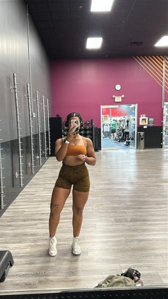 program highlights from creator