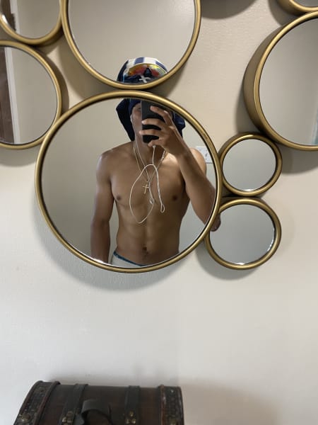 program highlights from creator