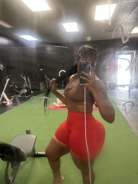 program highlights from creator