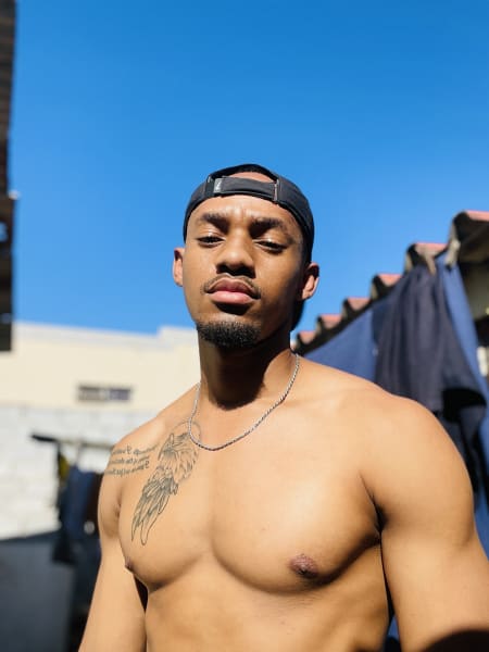 program highlights from creator