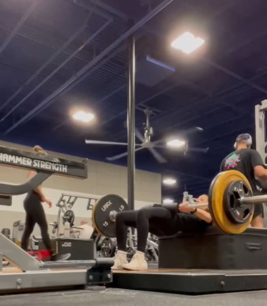 program highlights from creator