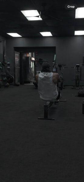 program highlights from creator