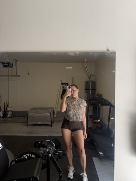 program highlights from creator
