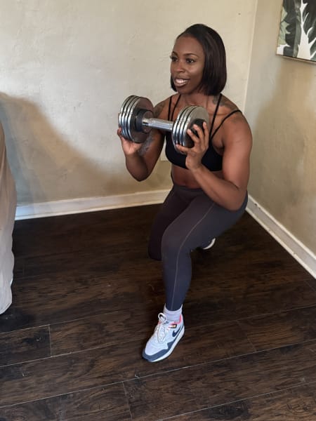 program highlights from creator