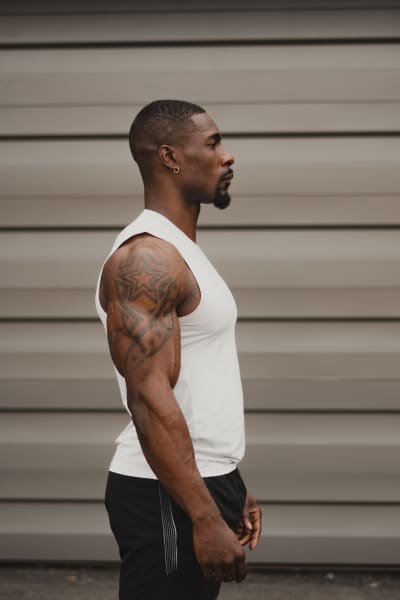 program highlights from creator