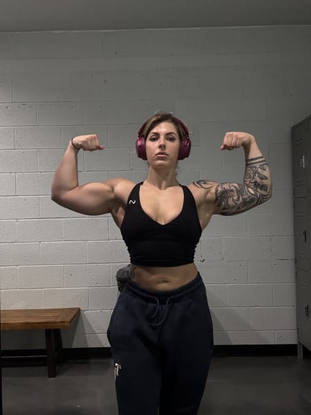 program highlights from creator