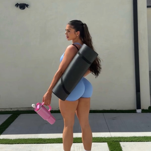 program highlights from creator