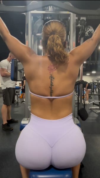 program highlights from creator