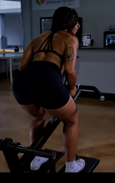 program highlights from creator