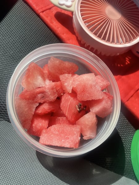 cookbook highlights from creator