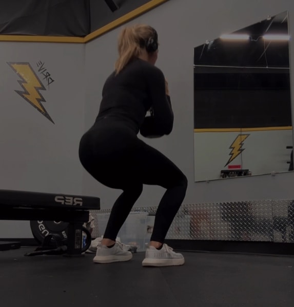 program highlights from creator