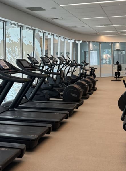 program highlights from creator