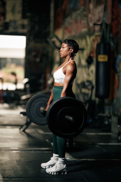 program highlights from creator