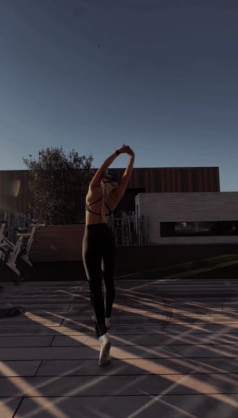 program highlights from creator