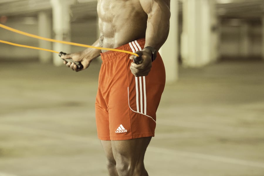 program highlights from creator