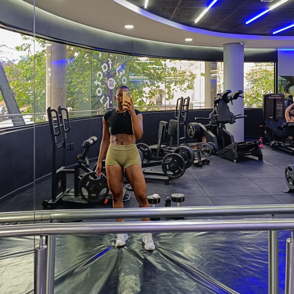 program highlights from creator