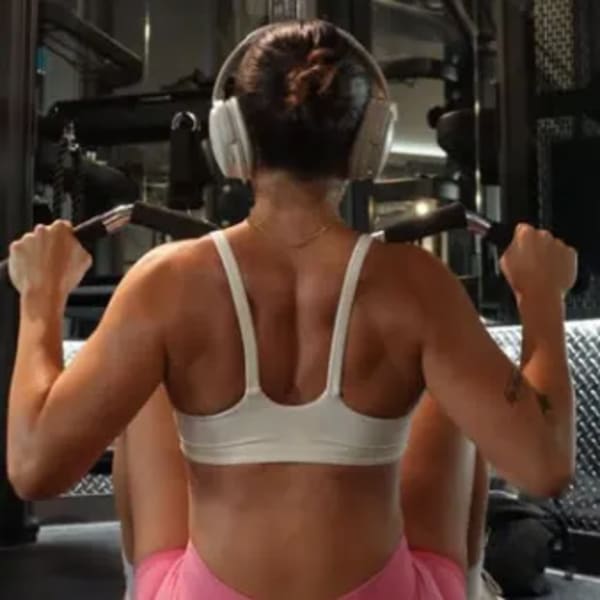 program highlights from creator