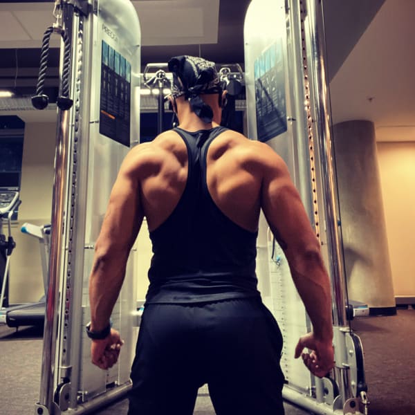 program highlights from creator