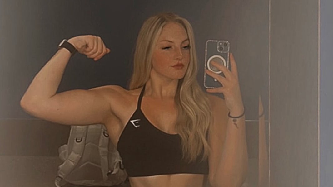 program highlights from creator