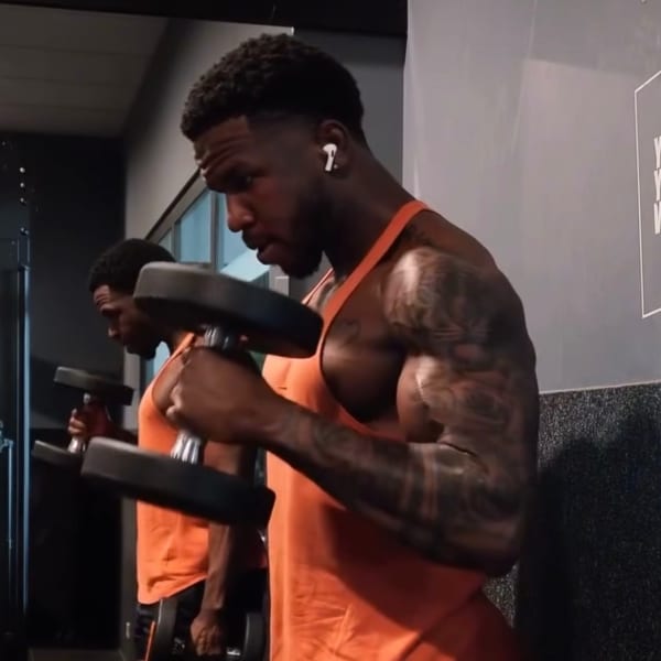 program highlights from creator