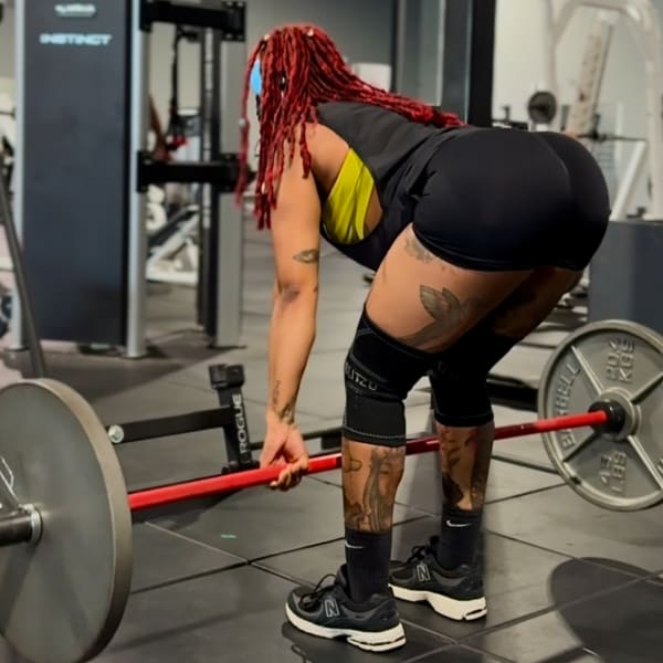 program highlights from creator