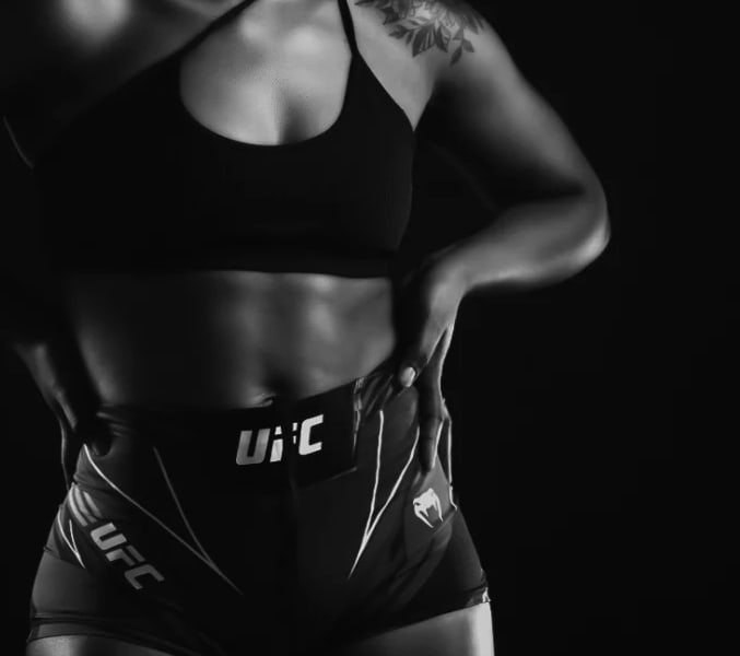 program highlights from creator