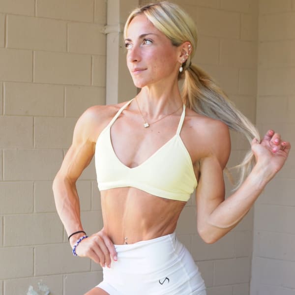 program highlights from creator