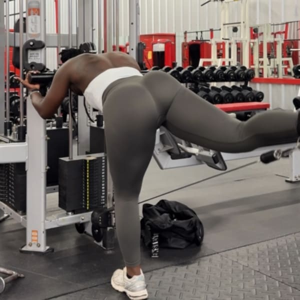 program highlights from creator