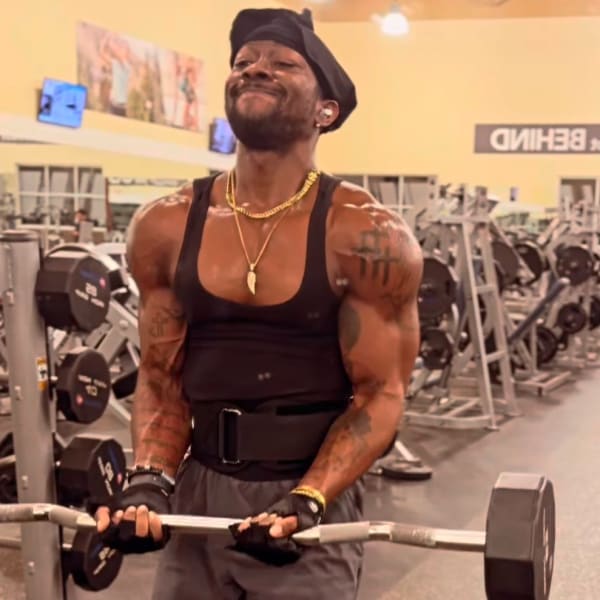 program highlights from creator