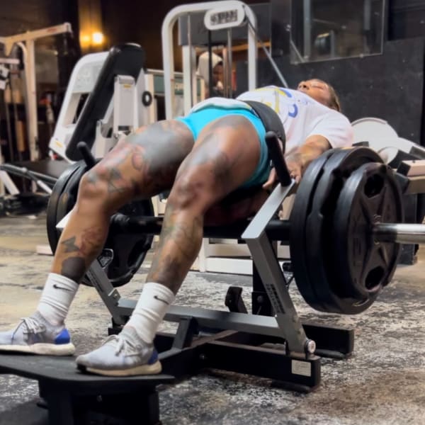 program highlights from creator