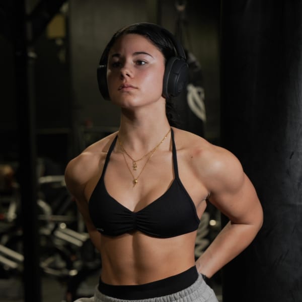 program highlights from creator