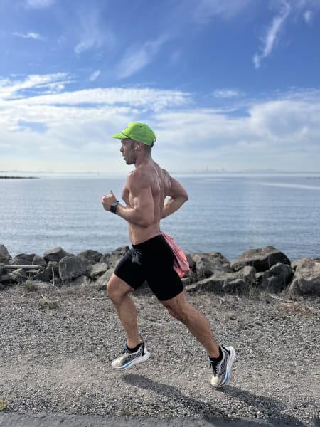 program highlights from creator