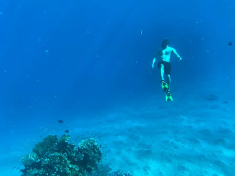 challenge highlights from creator