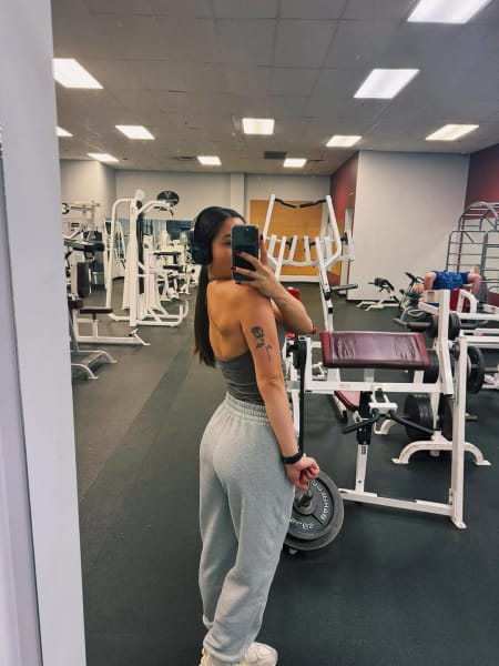 program highlights from creator