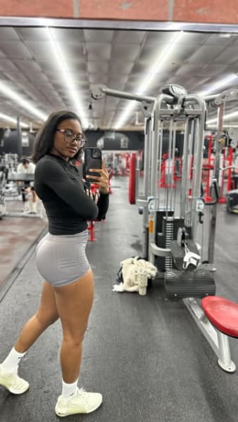 program highlights from creator