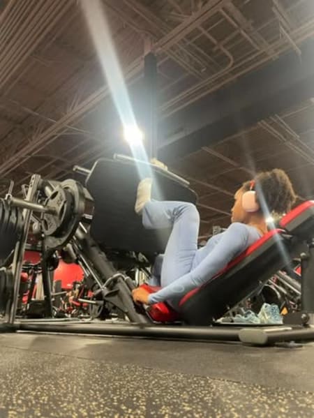 program highlights from creator