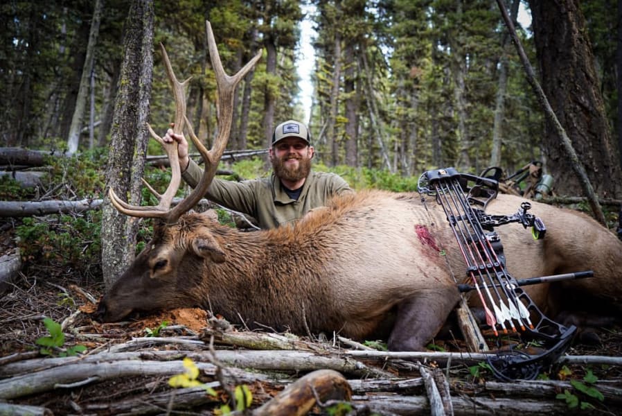 challenge highlights from creator