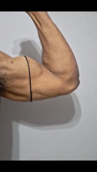 program highlights from creator