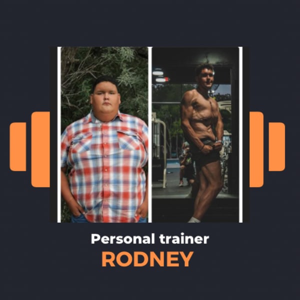 program highlights from creator