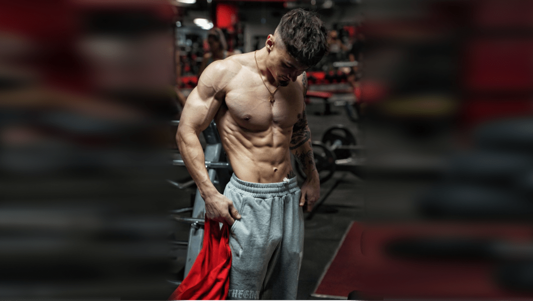 program highlights from creator