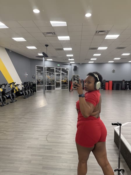 program highlights from creator