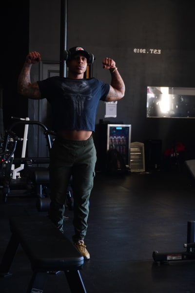 program highlights from creator